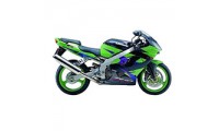 Carenados Kawasaki ZX9R 2002-2003