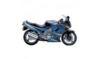 Carenados Kawasaki ZZR600 1998-2003