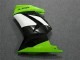 EX250 08-12 - Verde Negro Ninja EX250 08-12 - Verde Negro Ninja