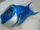 CBR 1000 RR 06-07 - Azul Plata CBR 1000 RR 06-07 - Azul Plata