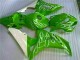 CBR 1000 RR 06-07 - Verde CBR 1000 RR 06-07 - Verde