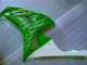 CBR 1000 RR 06-07 - Verde CBR 1000 RR 06-07 - Verde