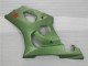 GSXR 1000 K3 03-04 - Verde
