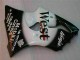 ZX6R 00-02 - Negro West Ninja ZX6R 00-02 - Negro West Ninja
