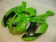 ZX6R 07-08 - Verde Negro Dunlop ZX6R 07-08 - Verde Negro Dunlop