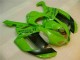 ZX6R 07-08 - Verde Negro Dunlop ZX6R 07-08 - Verde Negro Dunlop