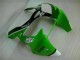 ZX6R 00-02 - Verde Negro ZX6R 00-02 - Verde Negro