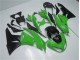 ZX6R 09-12 - Verde Negro ZX6R 09-12 - Verde Negro