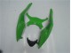 ZX6R 09-12 - Verde Negro ZX6R 09-12 - Verde Negro
