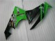 ZX6R 09-12 - Negro Verde ZX6R 09-12 - Negro Verde