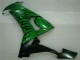 Carenados Moto Kawasaki ZX10R 2008-2010 - Negro Brillante Verde Llama