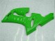 Carenado Moto Kawasaki ZX6R 2005-2006 - Verde