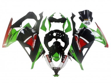 Carenados Moto Kawasaki EX300 2013-2024 - Verde Blanco Rojo Negro Elf