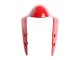 Carenados Moto Ducati 1299 2015-2020 - Rojo
