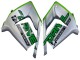 Carenados Moto Kawasaki ZX10R 2004-2005 - Verde Plata Negro 69