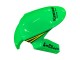 Carenados Moto Kawasaki ZX10R 2011-2015 - Verde Amarillo Negro Blanco Elf Monstruo