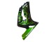 Carenados Moto Kawasaki ZX6R 2003-2004 - Negro Brillante Verde Llama