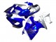 Carenados Moto Suzuki GSXR 1300 Hayabusa 1996-2007 - Azul Plata Hayabusa