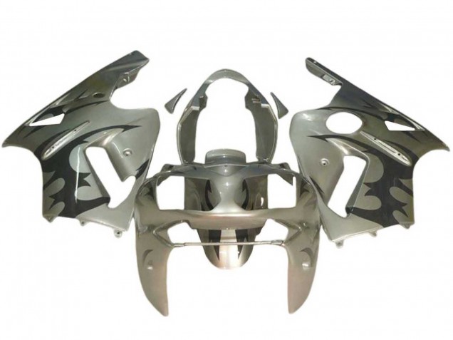 Carenados Moto Kawasaki ZX12R 2002-2006 - Plata Negro