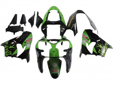 Carenados Moto Kawasaki ZX9R 2000-2001 - Verde Negro Playboy DENSO