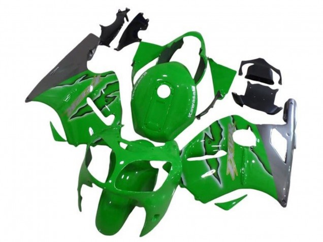 Carenados Moto Kawasaki ZX12R 2002-2006 - Verde Plata