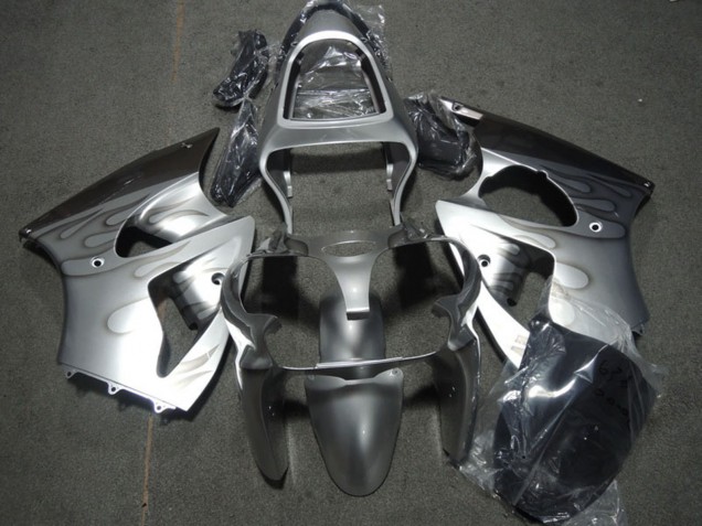 Carenados Moto Kawasaki ZX6R 2000-2002 - Plata Gris Llama