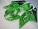 GSXR 1000 K5 05-06 - Verde GSXR 1000 K5 05-06 - Verde